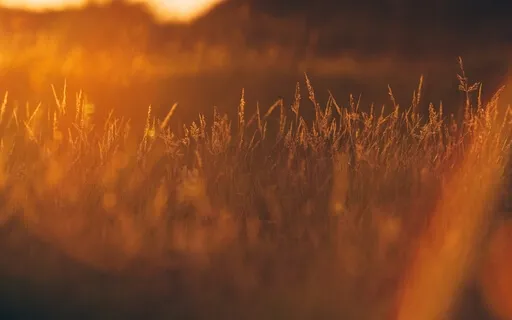 Trusting In Yourself & Your Mind - Meditation