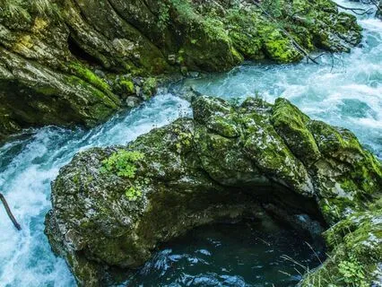 Trusting Life’s Flow