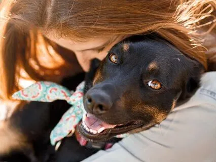 Trusting Love While Away From Your Dog