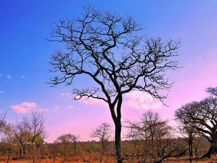 Trusting The Choices You Make