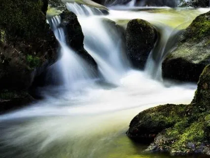 Trusting The Flow Of Change