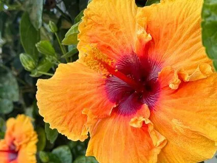 Trusting The Journey: A Guided Meditation On Trust