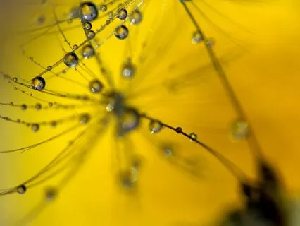 Trusting the Perfection Of Life. Stop Arguing with Reality