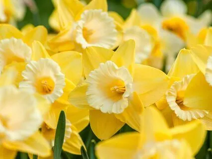 Trusting The Story You Were Meant To Tell