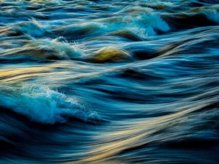 Riding The Waves Of Presence