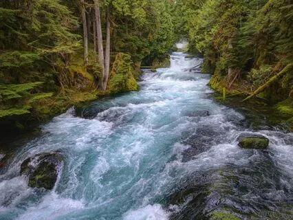 Trusting the Unknown + Enjoying the Ride