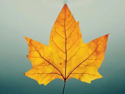 Trusting The Unknown - October 18