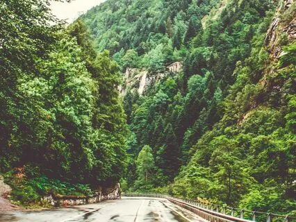 Trusting The Whisper: Intuition And Taking Action