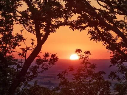 Trusting What You Can’t Yet See