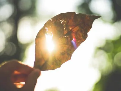 Trusting Your Intuition