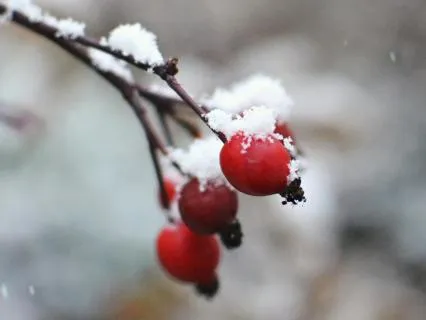 Trusting Your Quiet Knowing - Jan 22