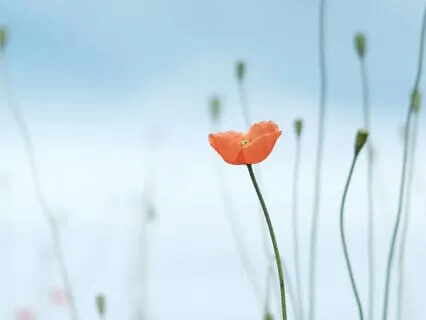 Trusting Yourself - A Soothing Affirmation Track