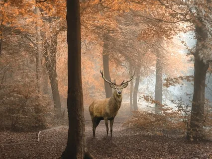 Truth: Creating Authenticity