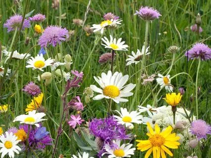 Truth Is Power. Love Power.