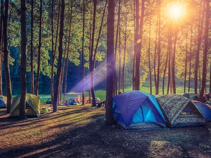 Truth Serum Episode #1: Can You Teach An Old Dog A New Trick? With Soul Camp Creative Founders