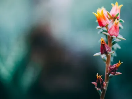 Truth Serum Episode #6: How Photoshop Is Destroying Our Self-Image And How To Heal It