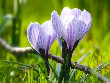 Truth, Trauma And Transformation