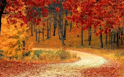 [Try Listening For 3 Minutes] Open Third Eye - Meditation Music