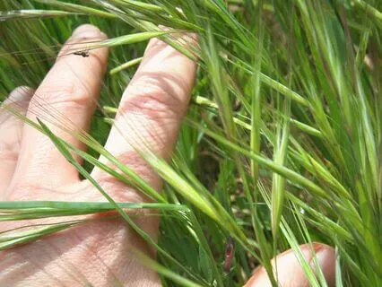 Try Out 'See, Hear, Feel'