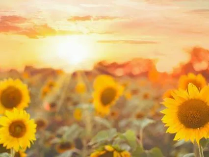 Try Something New - For Women In Midlife And Beyond