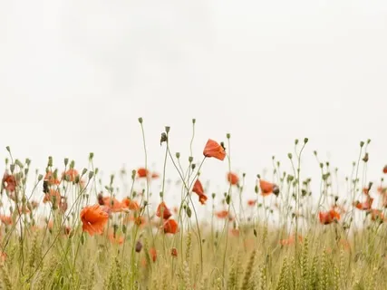 Tryambakam Mantra Chant