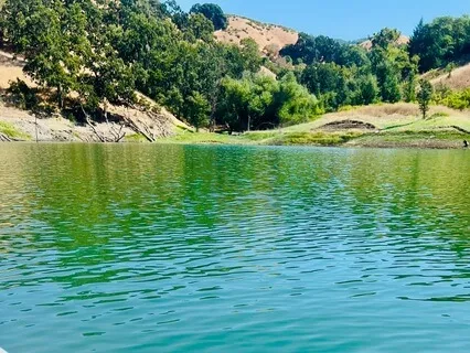 Trying Something New