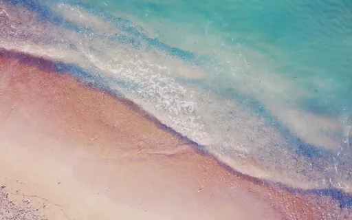 Trying To Appear Wise Is Unwise