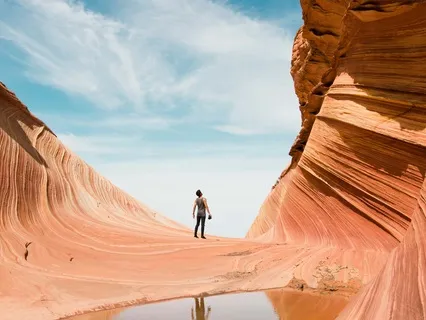 Trying To Fix The World | Loka Samasta Sukhino Bhavantu