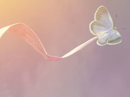 Trying To Transcend To Manage Stress