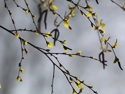 Trzystopniowa pauza na oddech