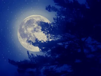 T.S. Eliot For Sleep || Grounded Sleep Podcast Episode 36