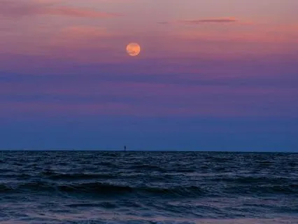 Tsukuyomi: Spiritual Japanese Ambient Meditation