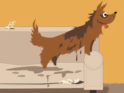 Tucker & Leo Are Grounded