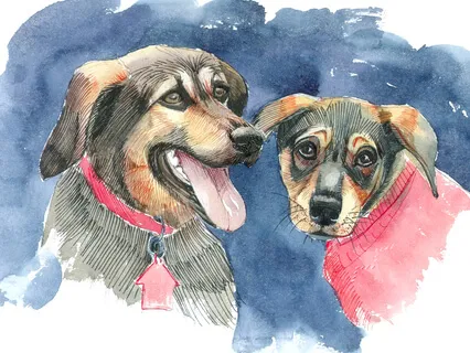 Tucker & Leo - Belinda The Princess Warrior