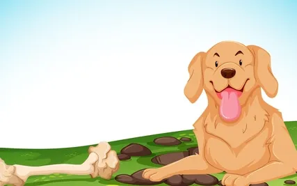 Tucker & Leo | Chocolate Cake World