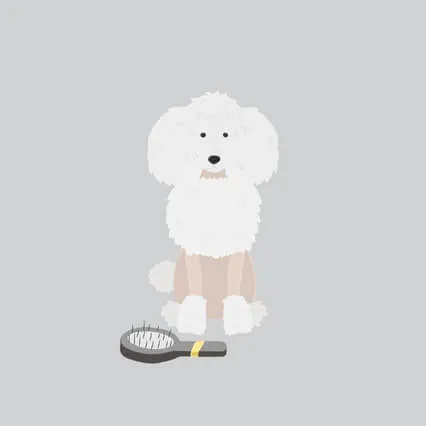 Tucker & Leo - Franklin The 1st Returns