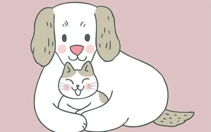 Tucker & Leo | Mr Kitty Part 2