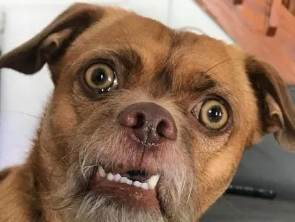 Tucker & Leo | Break Down