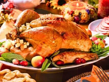 Tucker Leo Heidi Cherry & Vaya | Humans #29 - Thankful