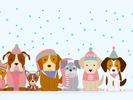 Tucker & Leo Heidi Cherry & Vaya | Mr Kitty ( Part 5)