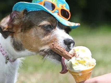 Tucker & Leo | Ice Cream Cone