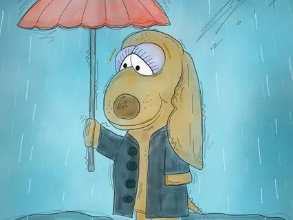 Tucker & Leo | Rainy Days