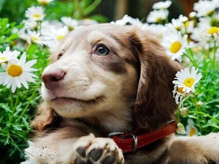 Tucker & Leo | Reputation