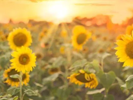 Tuesday Midday: Creative Reset