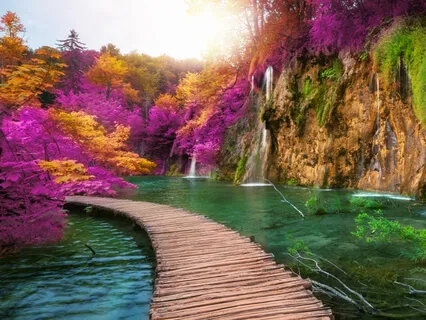 Tuesday Tongue Drum Healing