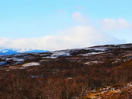 Tundra - Ambience For Sleep And Study