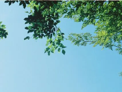 Tune In: Breath Awareness, Body Awareness, Open Awareness