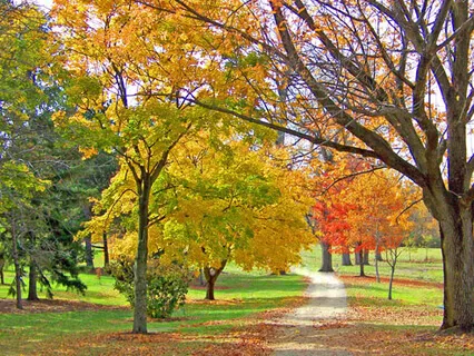 Tune In To Sounds Around You