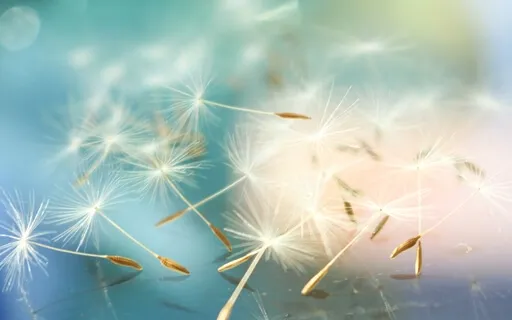 Tune Into The Moment