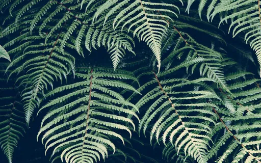 Tune Into Your Energy